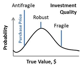 Antifragile, robust and fragile investments